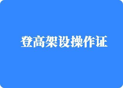 黄色日逼逼登高架设操作证